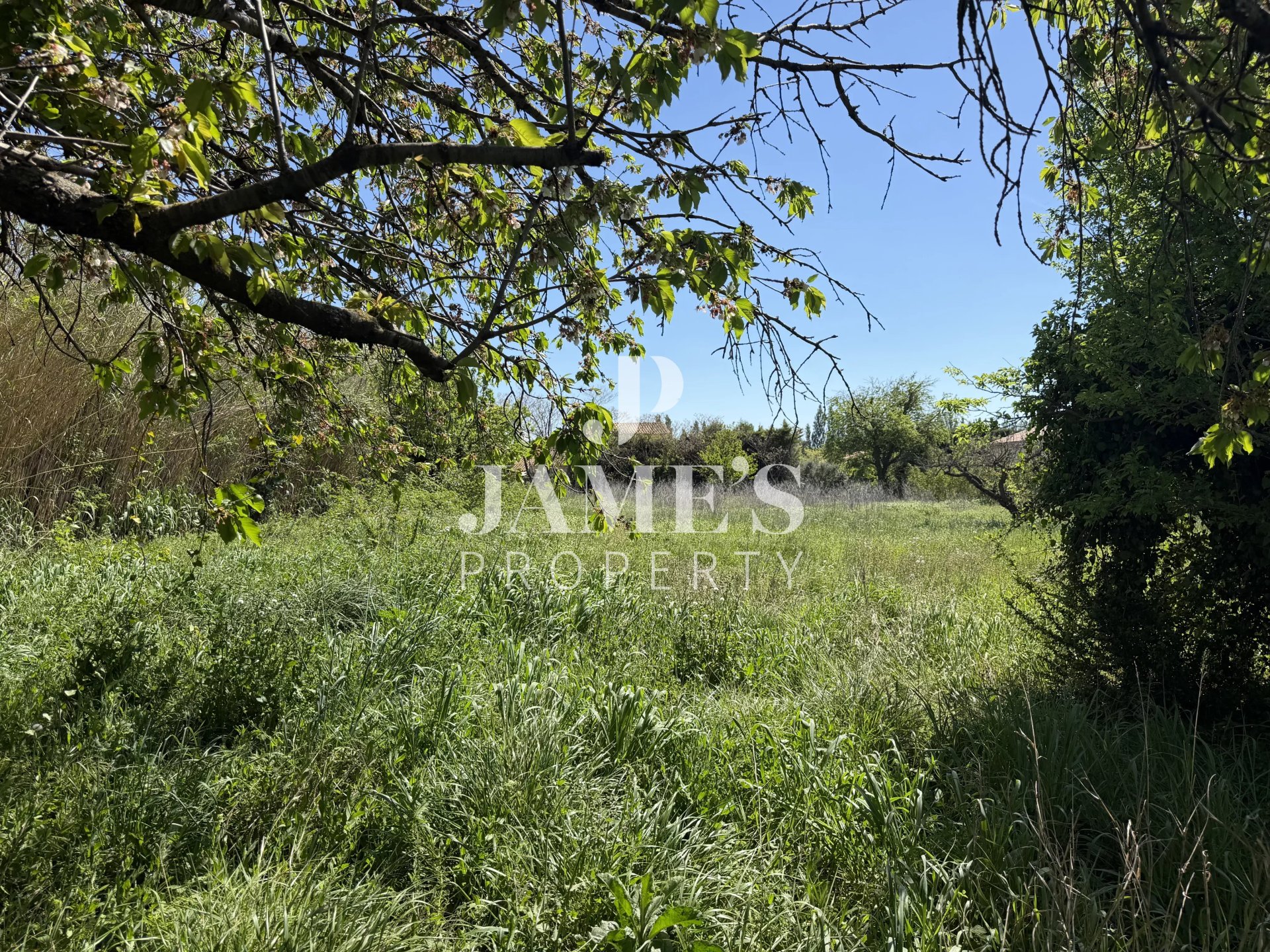 Agence immobilière de Anthony CAULFIELD