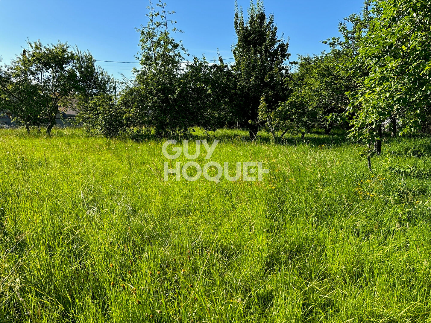 Agence immobilière de GuyHoquet TOURNAN EN BRIE - Guy Hoquet FONTENAY TRESIGNY
