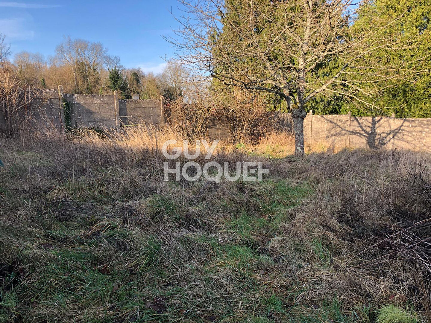 Agence immobilière de GuyHoquet TOURNAN EN BRIE - Guy Hoquet TOURNAN EN BRIE