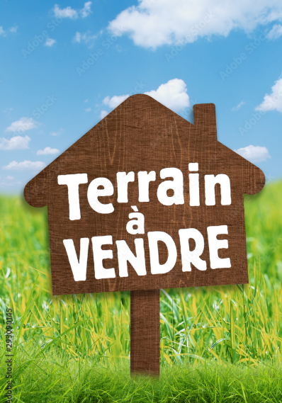 Agence immobilière de Gimmi Shelter Immobilier
