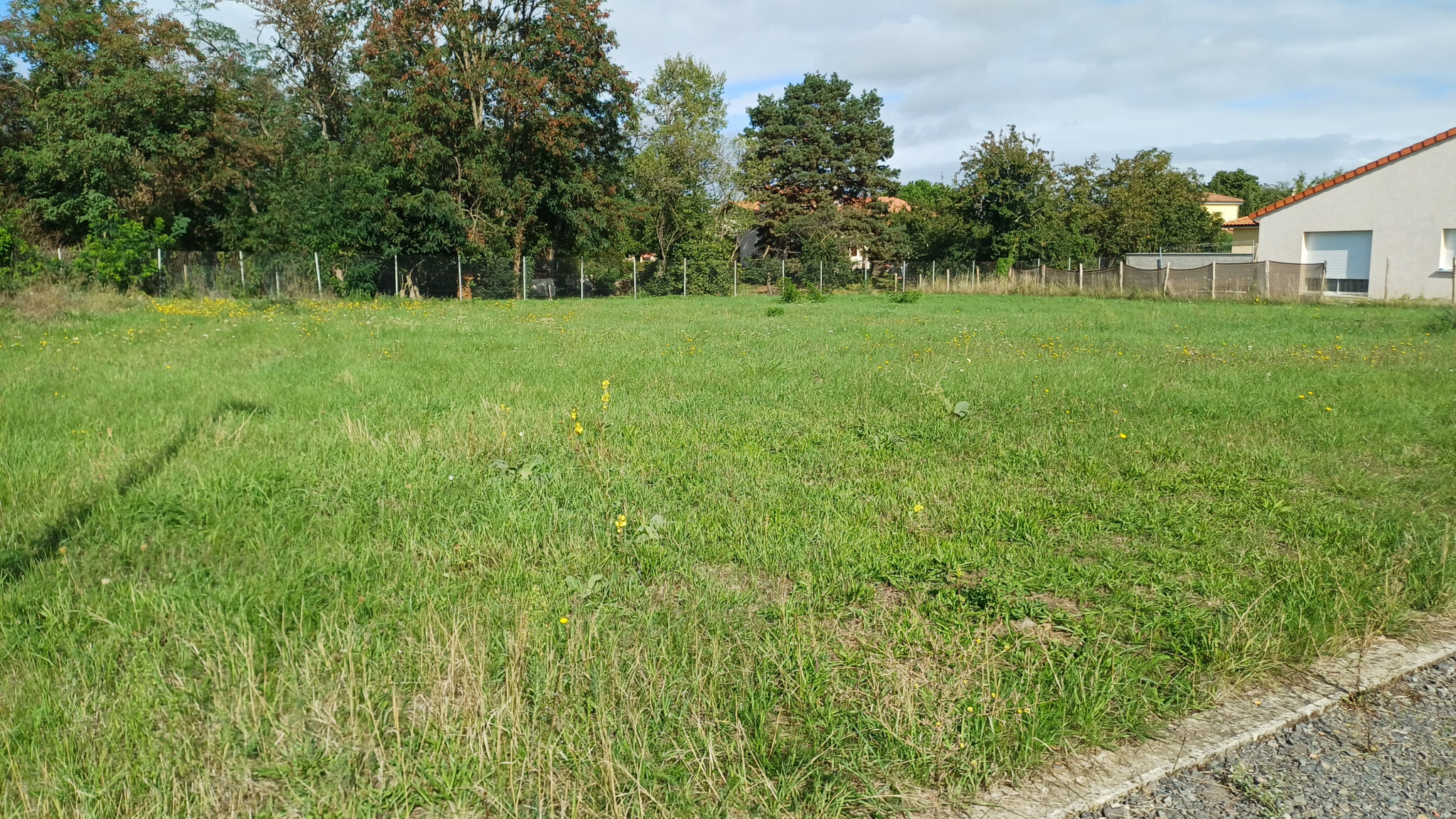 Agence immobilière de Gimmi Shelter Immobilier