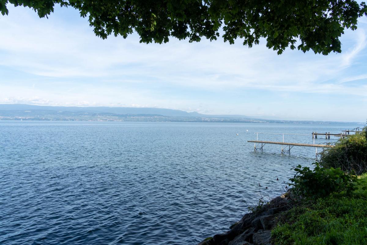 Agence immobilière de SAVILLS