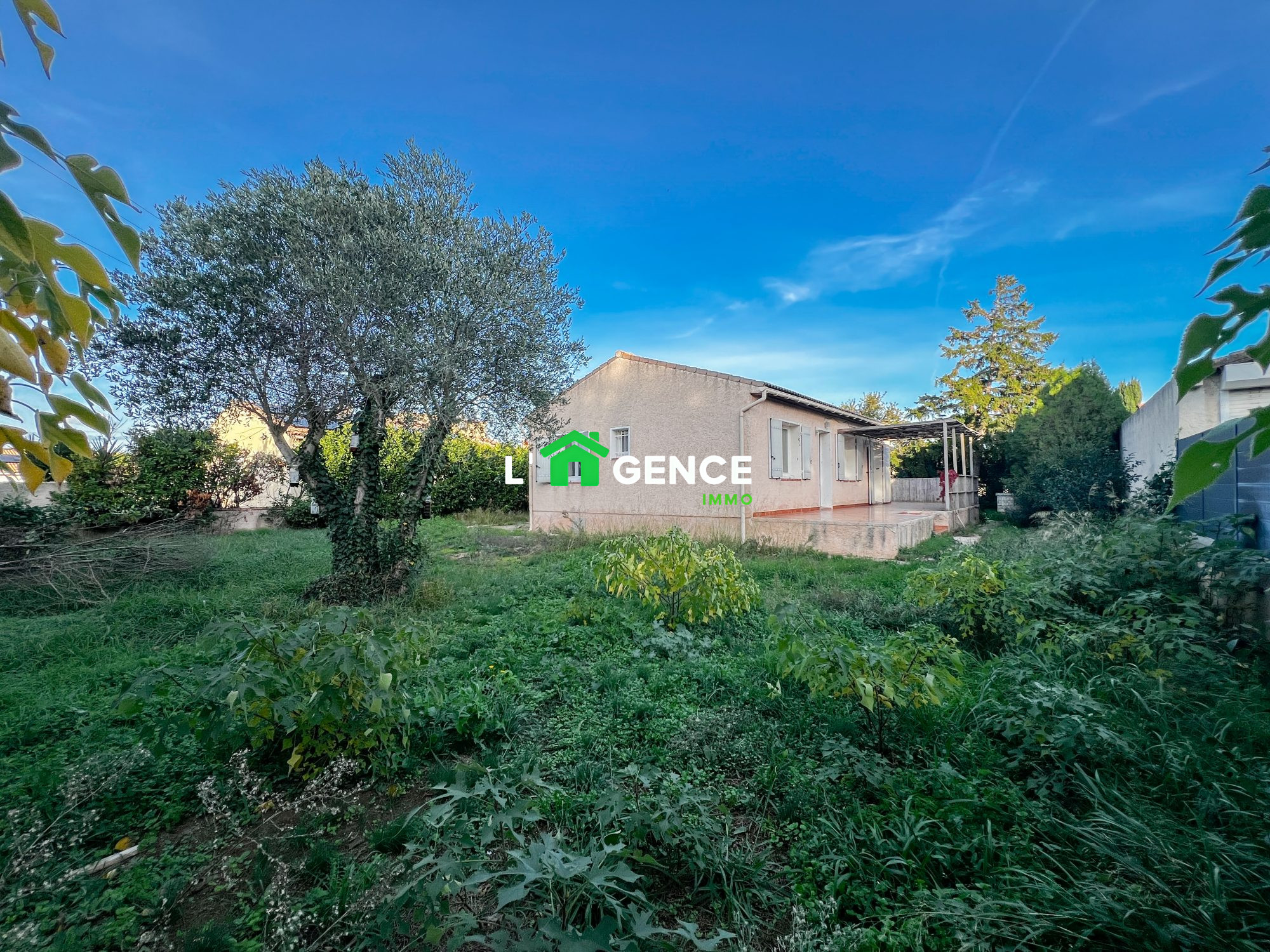 Agence immobilière de L'AGENCE Immo