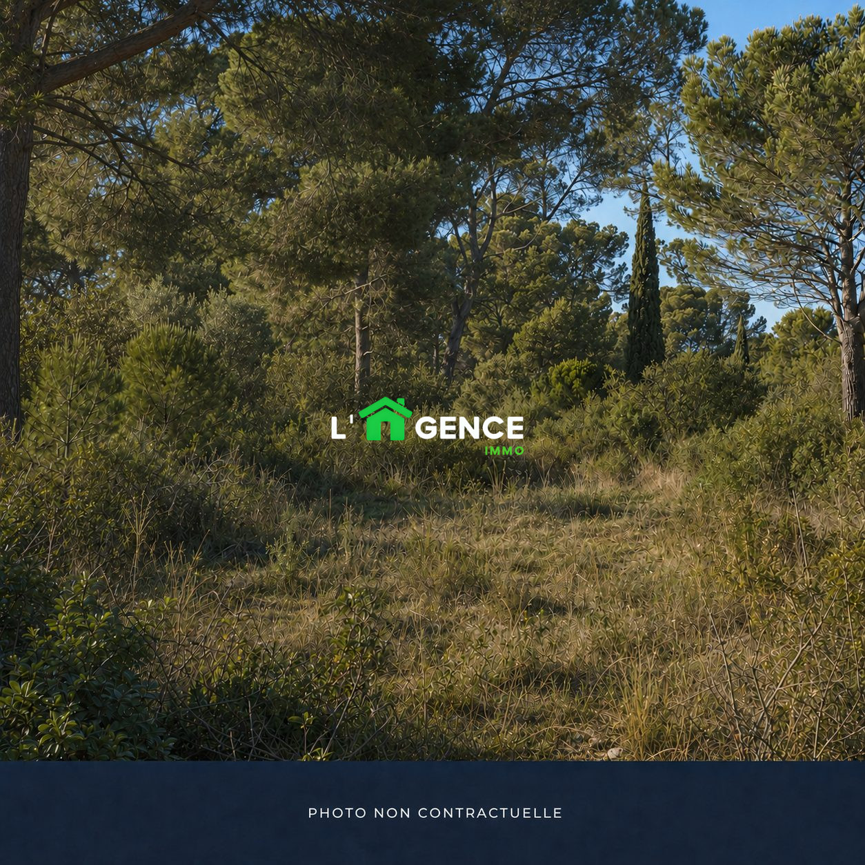 Agence immobilière de L'AGENCE Immo