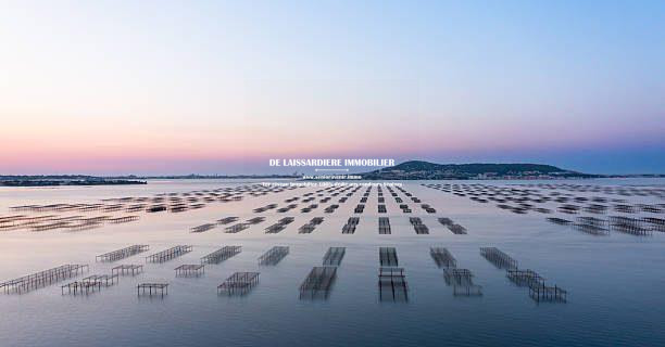 Agence immobilière de SeniorAvenir.IMMO