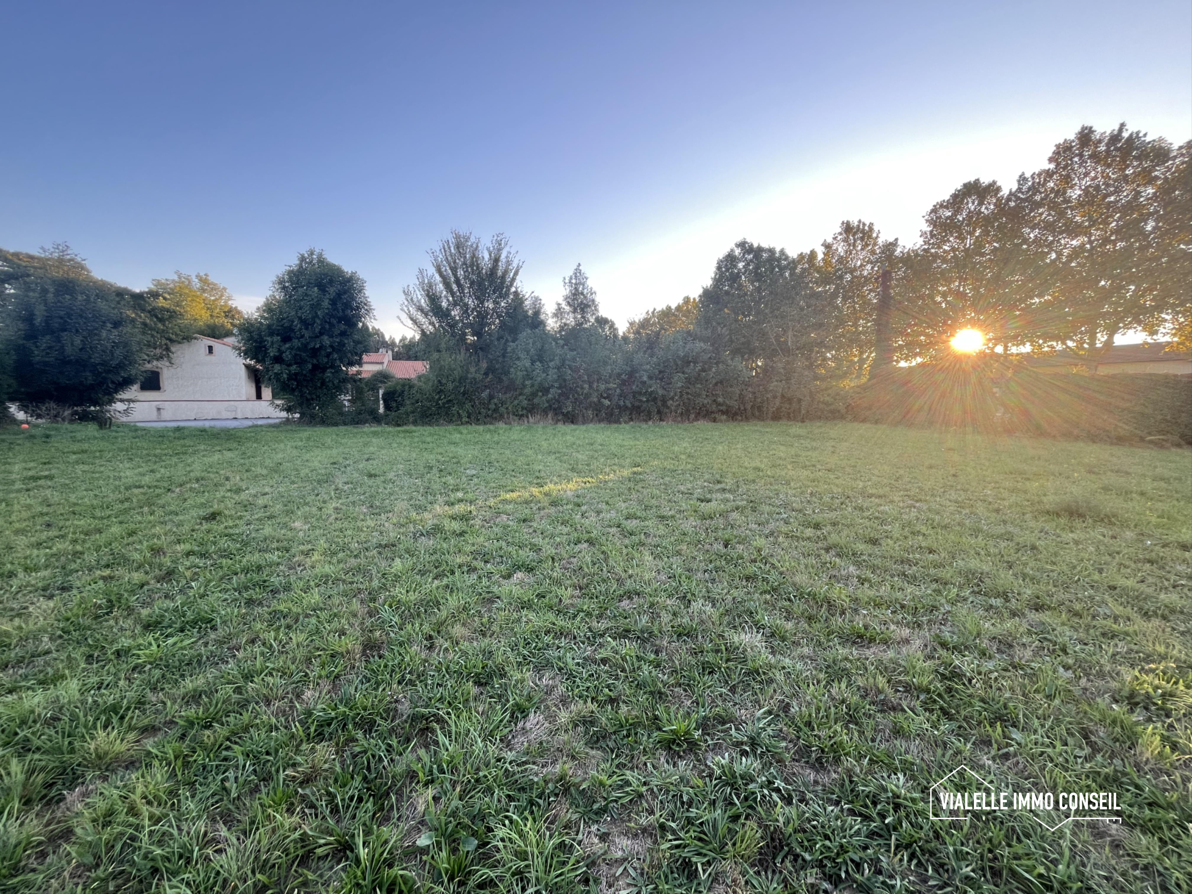 Agence immobilière de VIALELLE IMMO CONSEIL