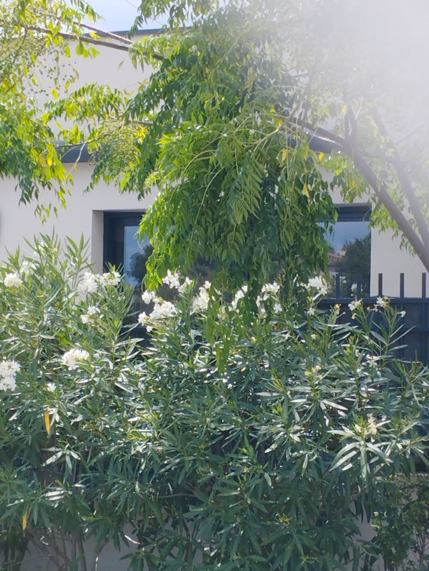 Agence immobilière de Orzy Immobiliers