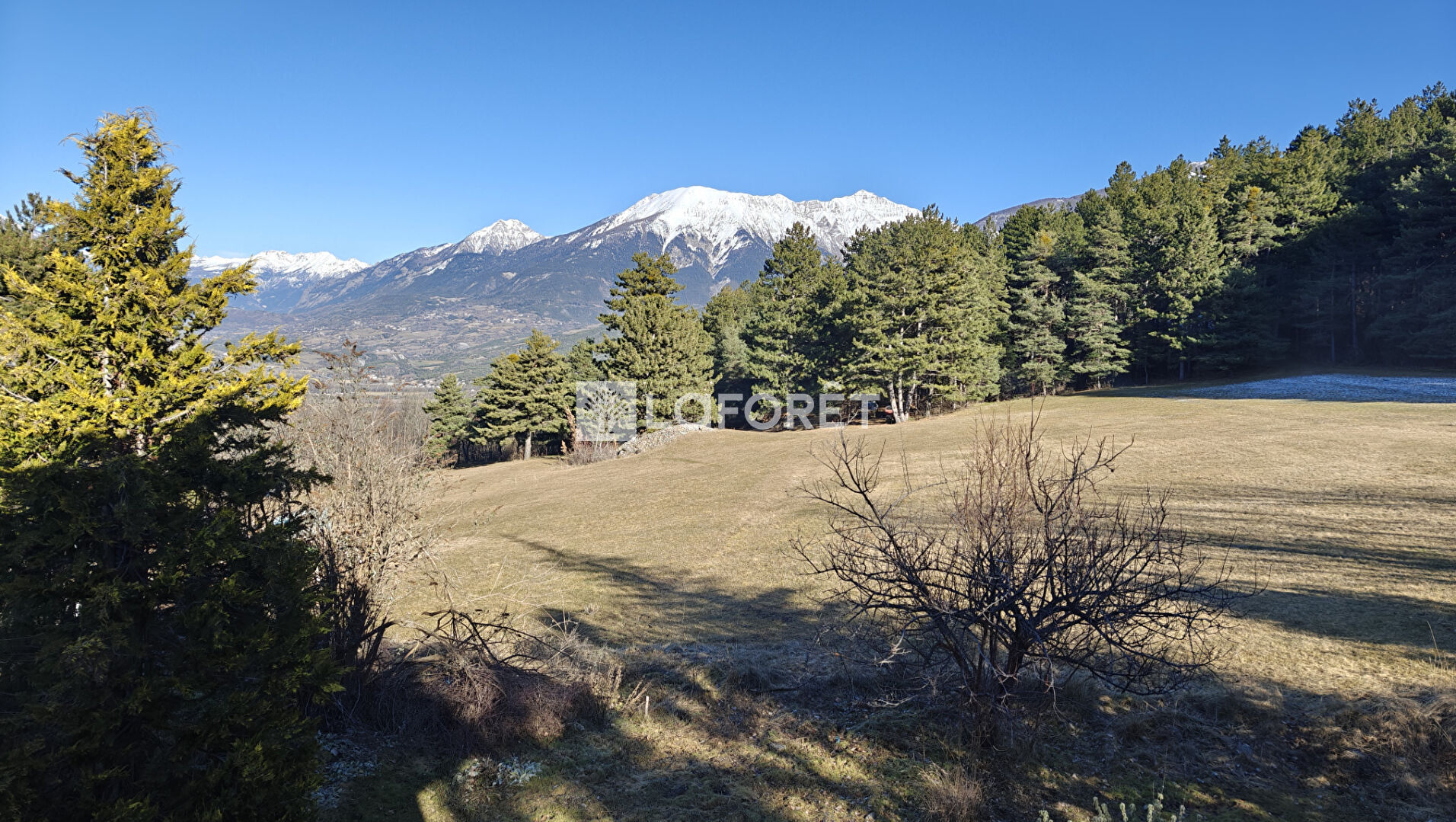 Agence immobilière de LAFORET EMBRUN