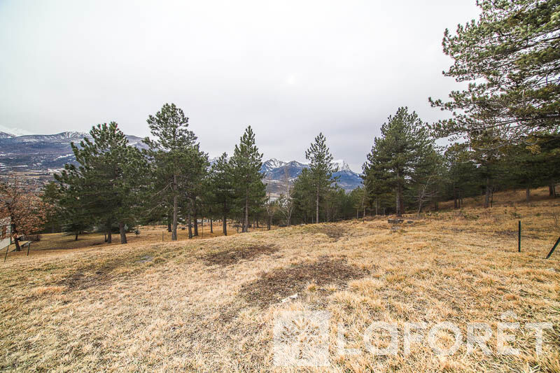 Agence immobilière de LAFORET EMBRUN