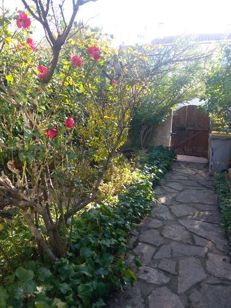 Agence immobilière de Wimmo