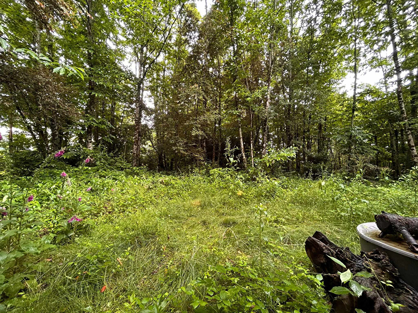 Agence immobilière de NEXIMMO