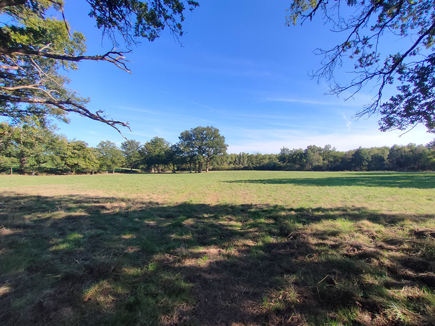 Agence immobilière de NEXIMMO