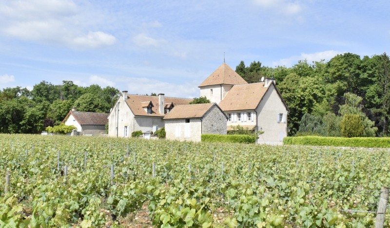 Agence immobilière de Cabinet Ray