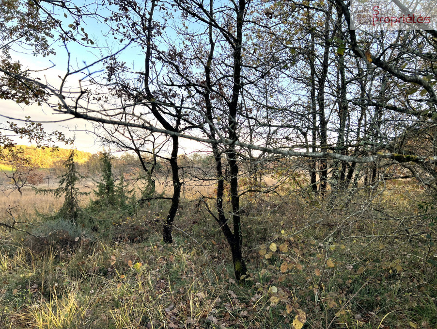 Agence immobilière de Nadia KOSLOWSKI