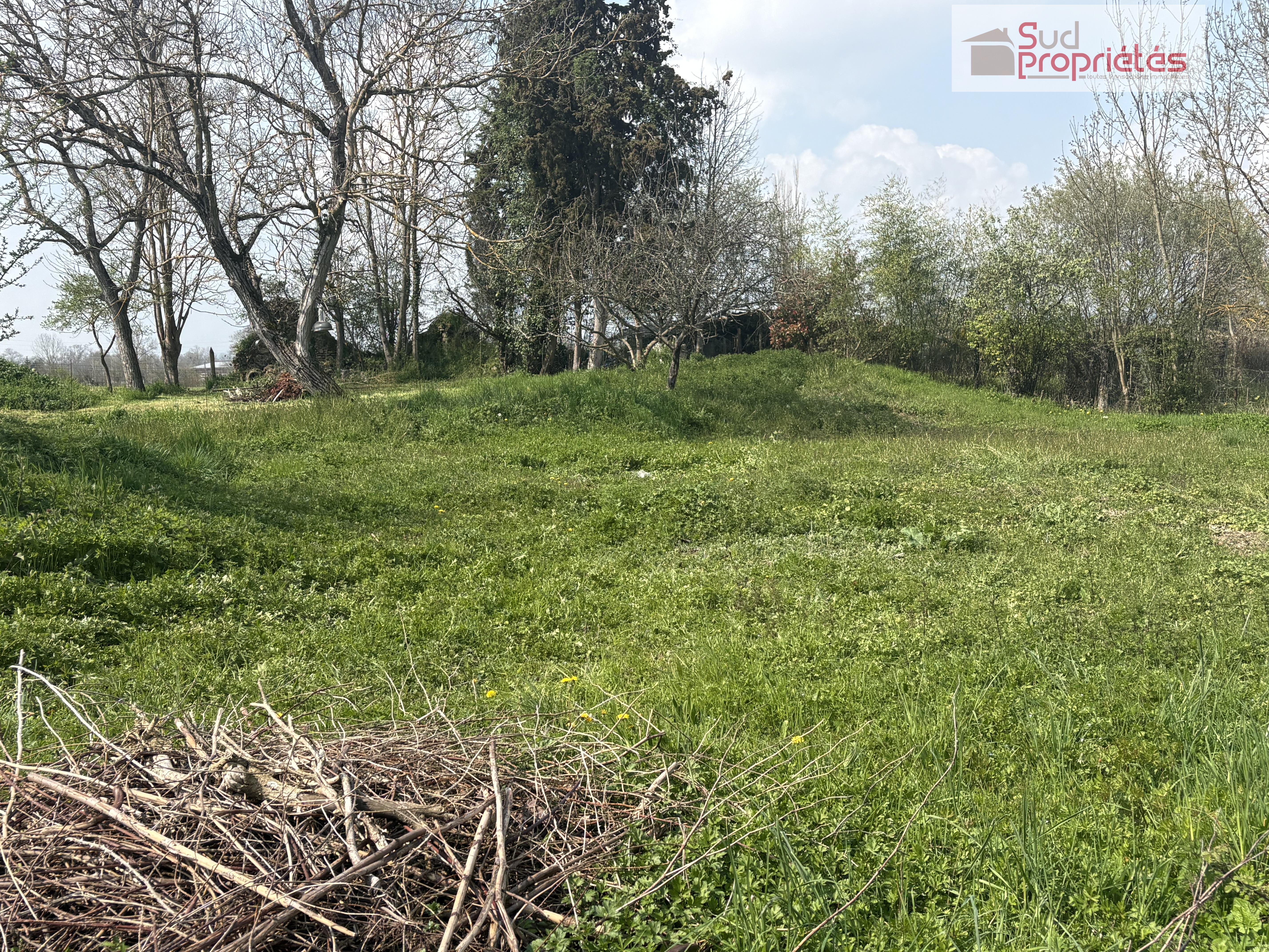 Agence immobilière de Nadia KOSLOWSKI