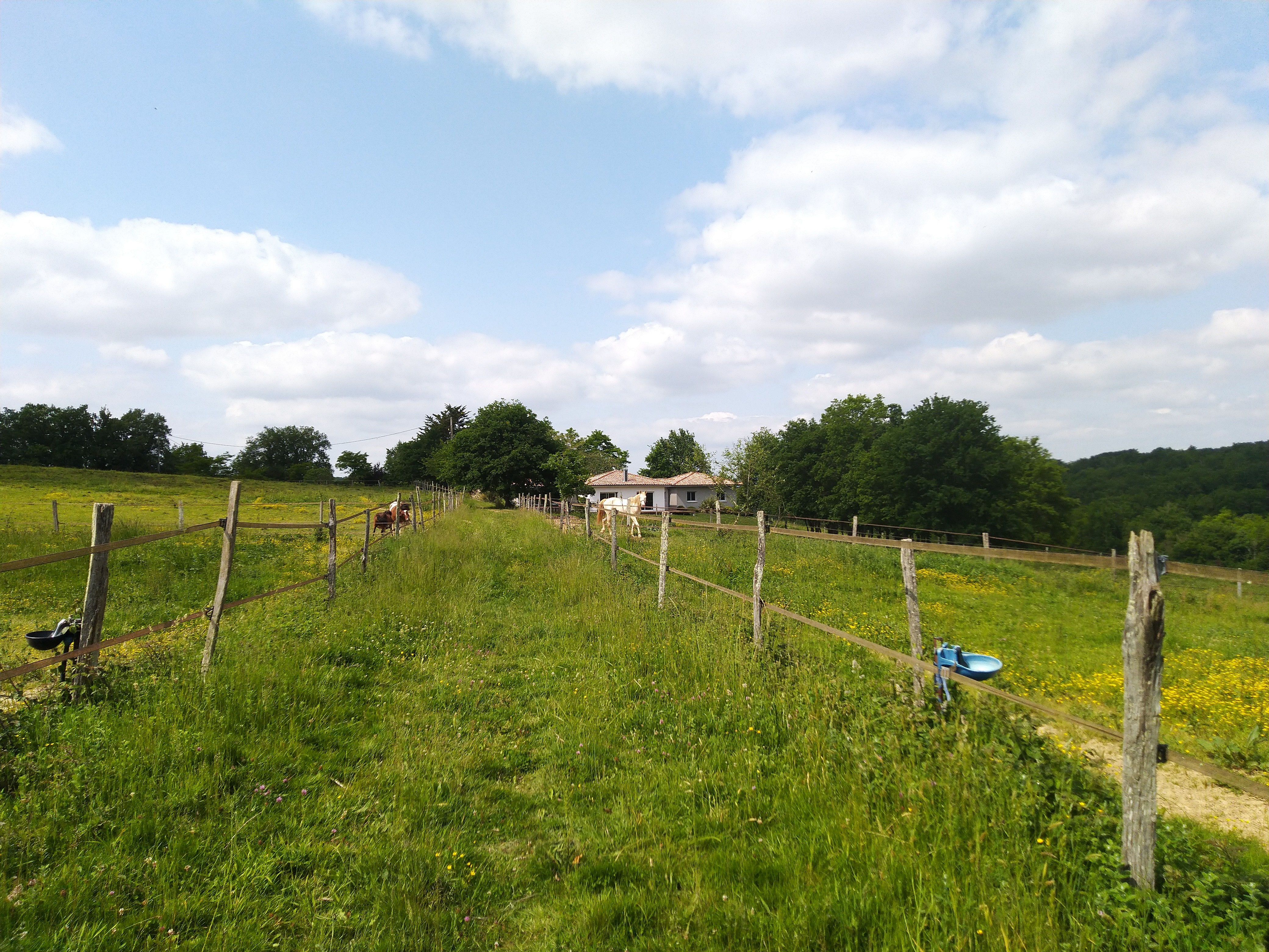 Agence immobilière de GaÃ«lle GUEGUEN