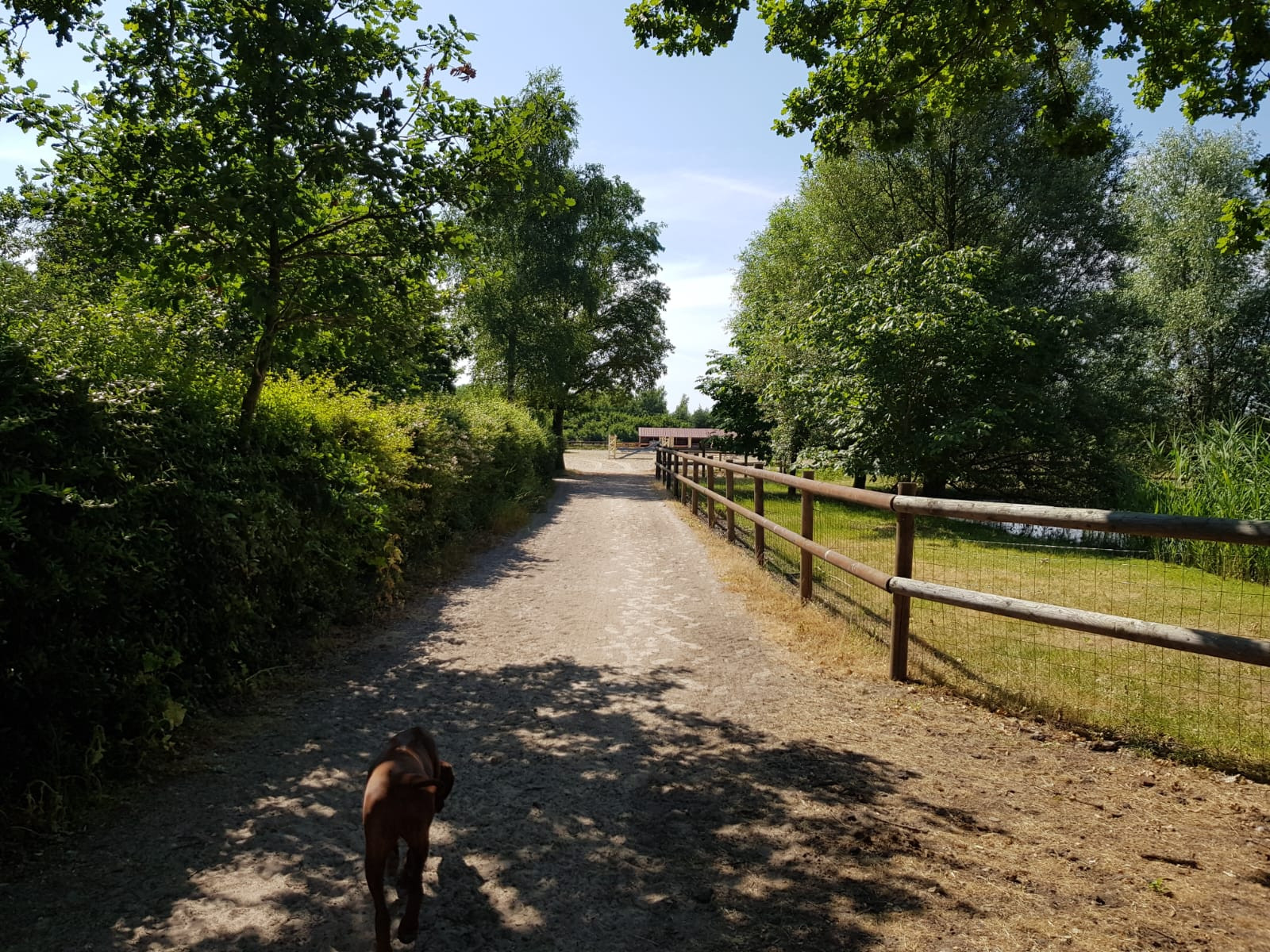 Agence immobilière de GaÃ«lle GUEGUEN