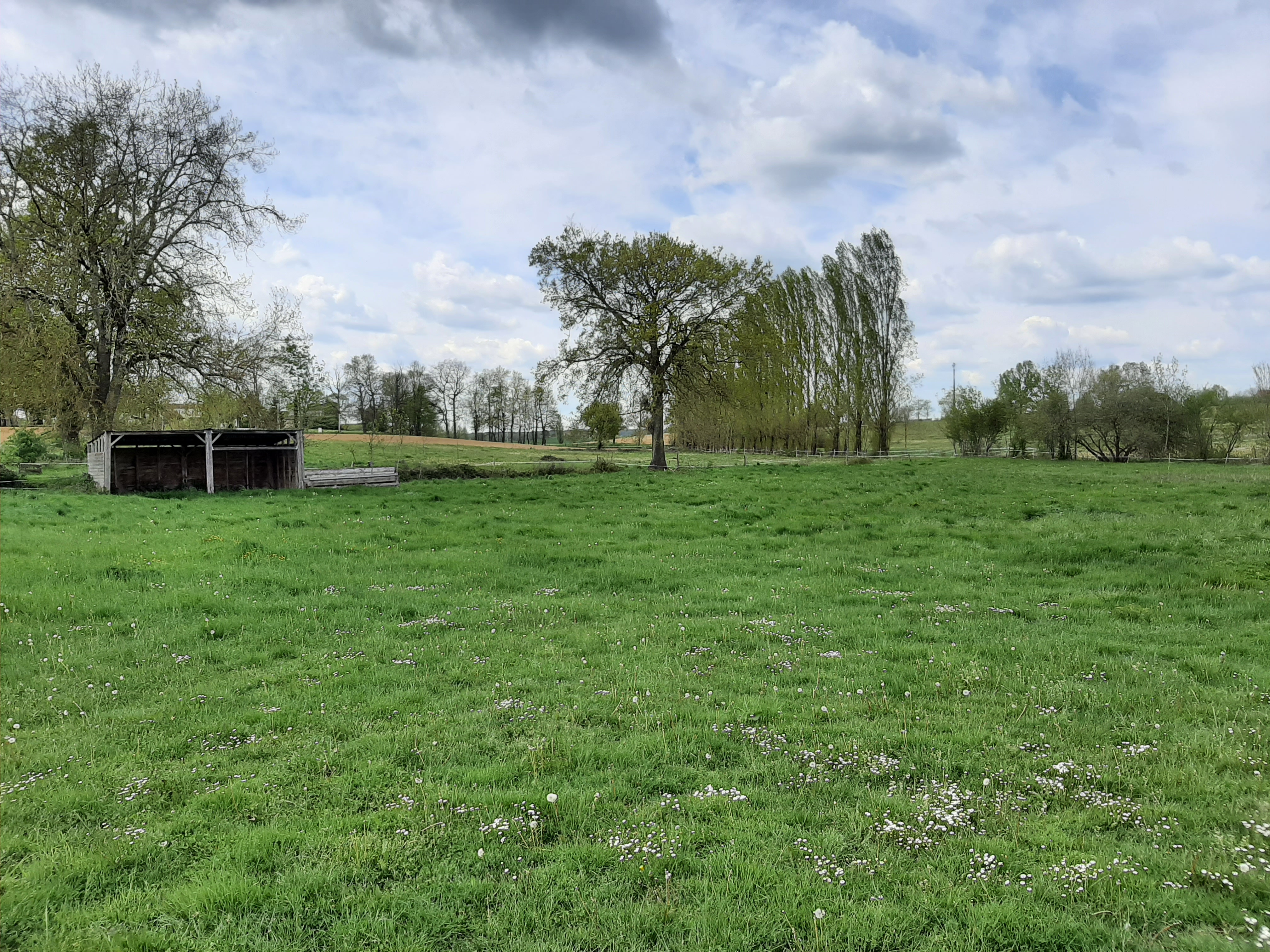 Agence immobilière de GaÃ«lle GUEGUEN