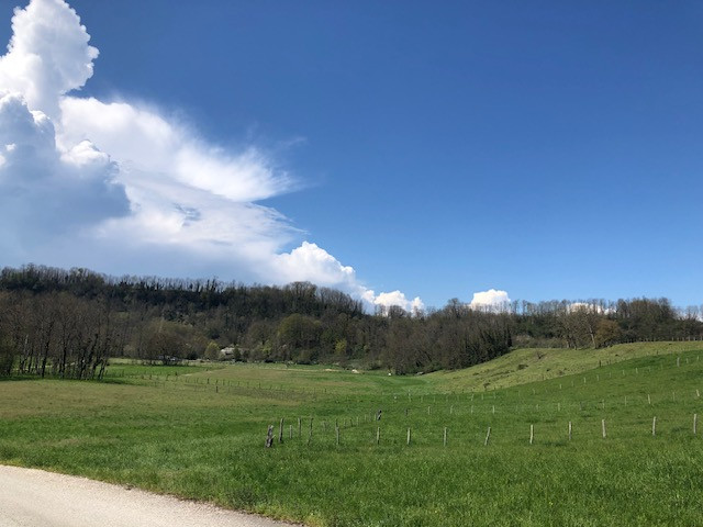 Agence immobilière de GaÃ«lle GUEGUEN