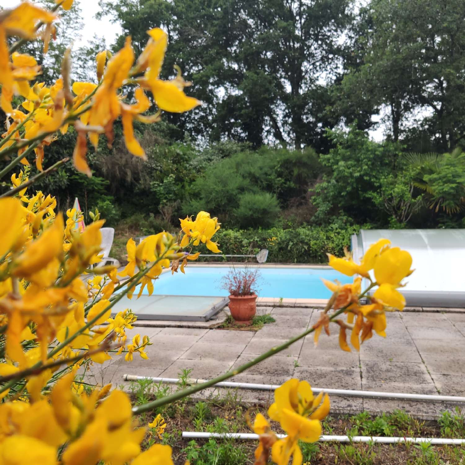 Agence immobilière de GaÃ«lle GUEGUEN