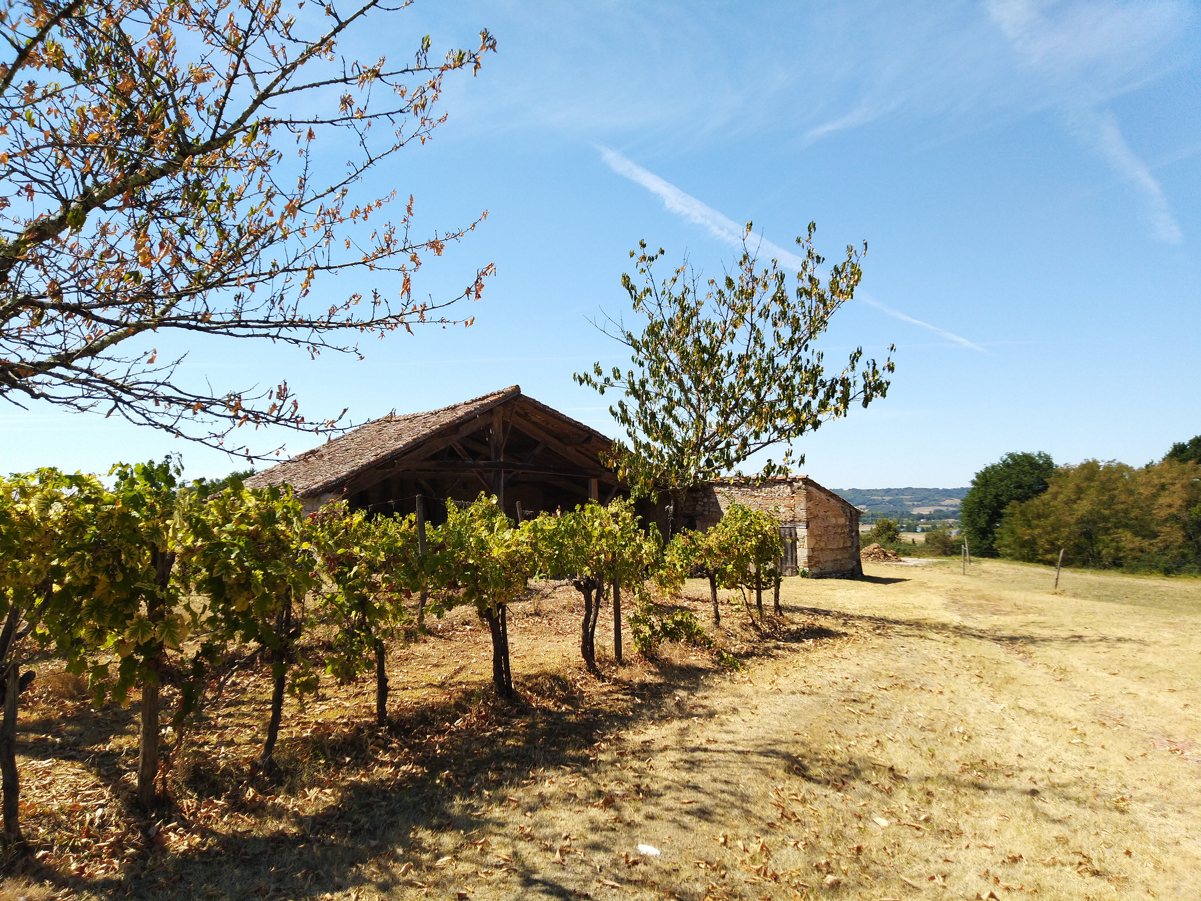 Agence immobilière de GaÃ«lle GUEGUEN