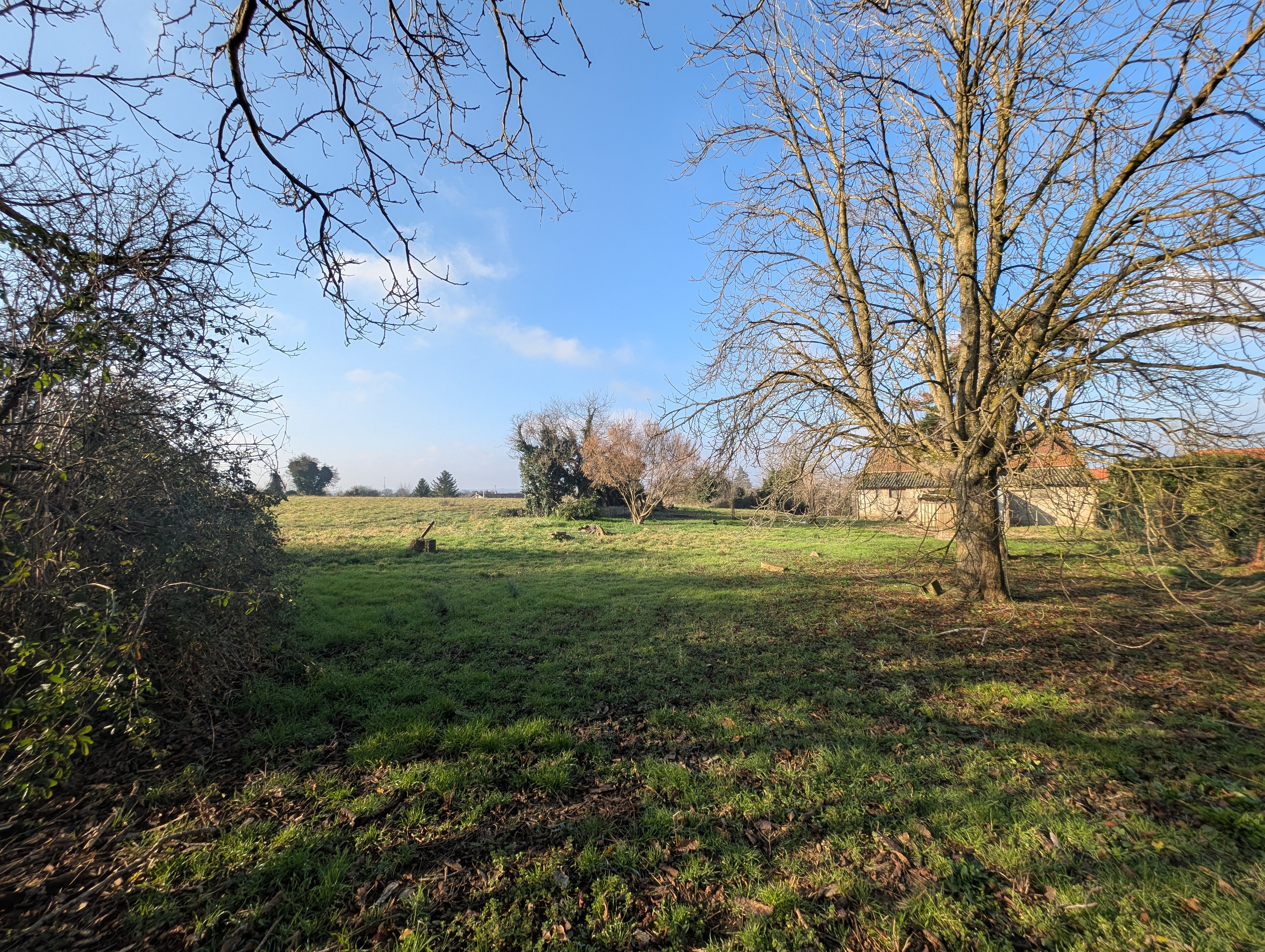 Agence immobilière de Levasseur