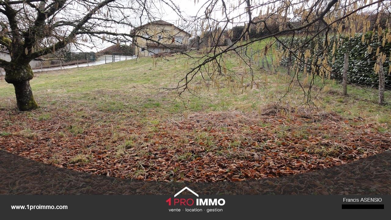 Agence immobilière de Assistant Commercial