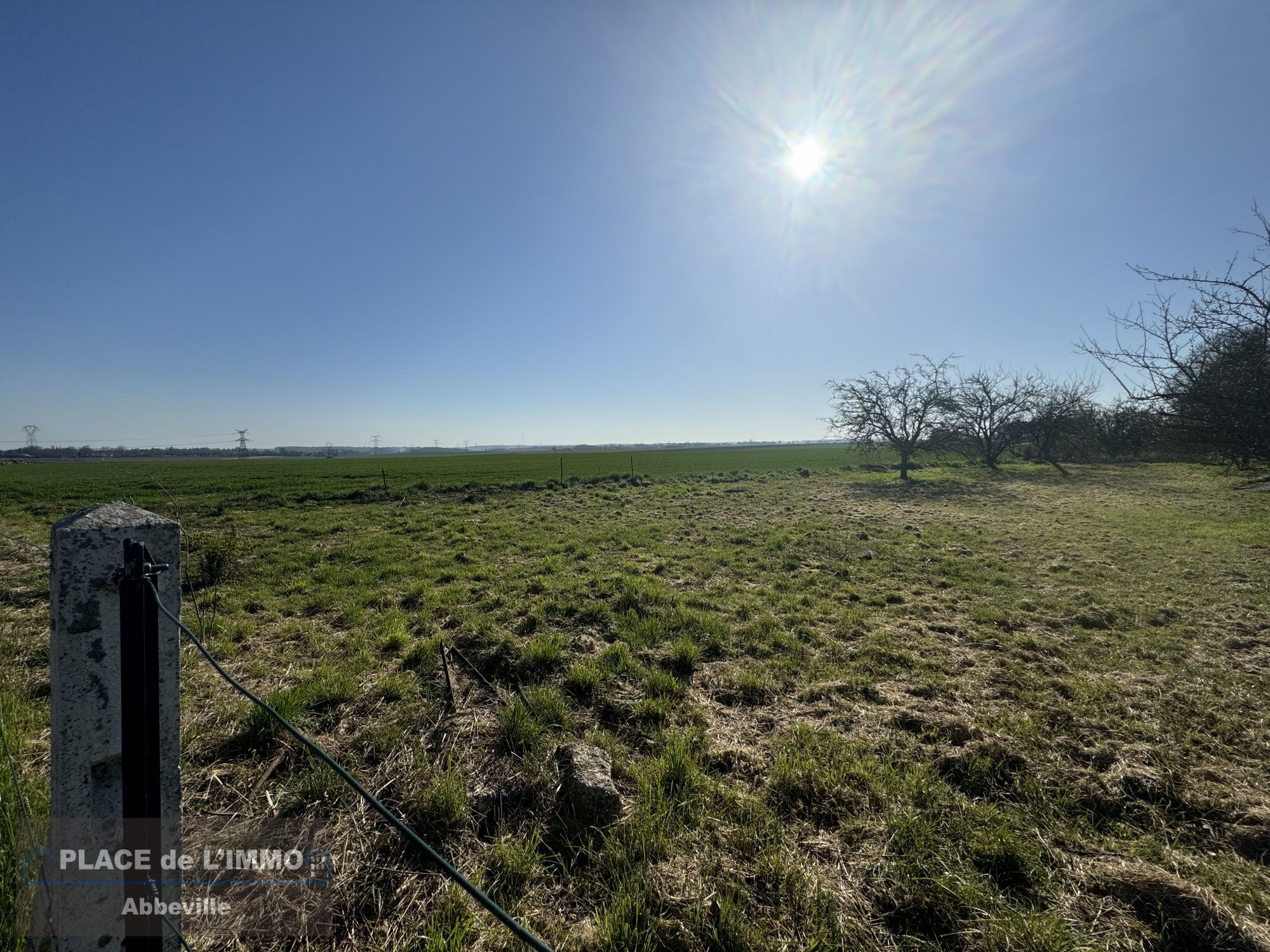 Agence immobilière de PLACE DE L'IMMO