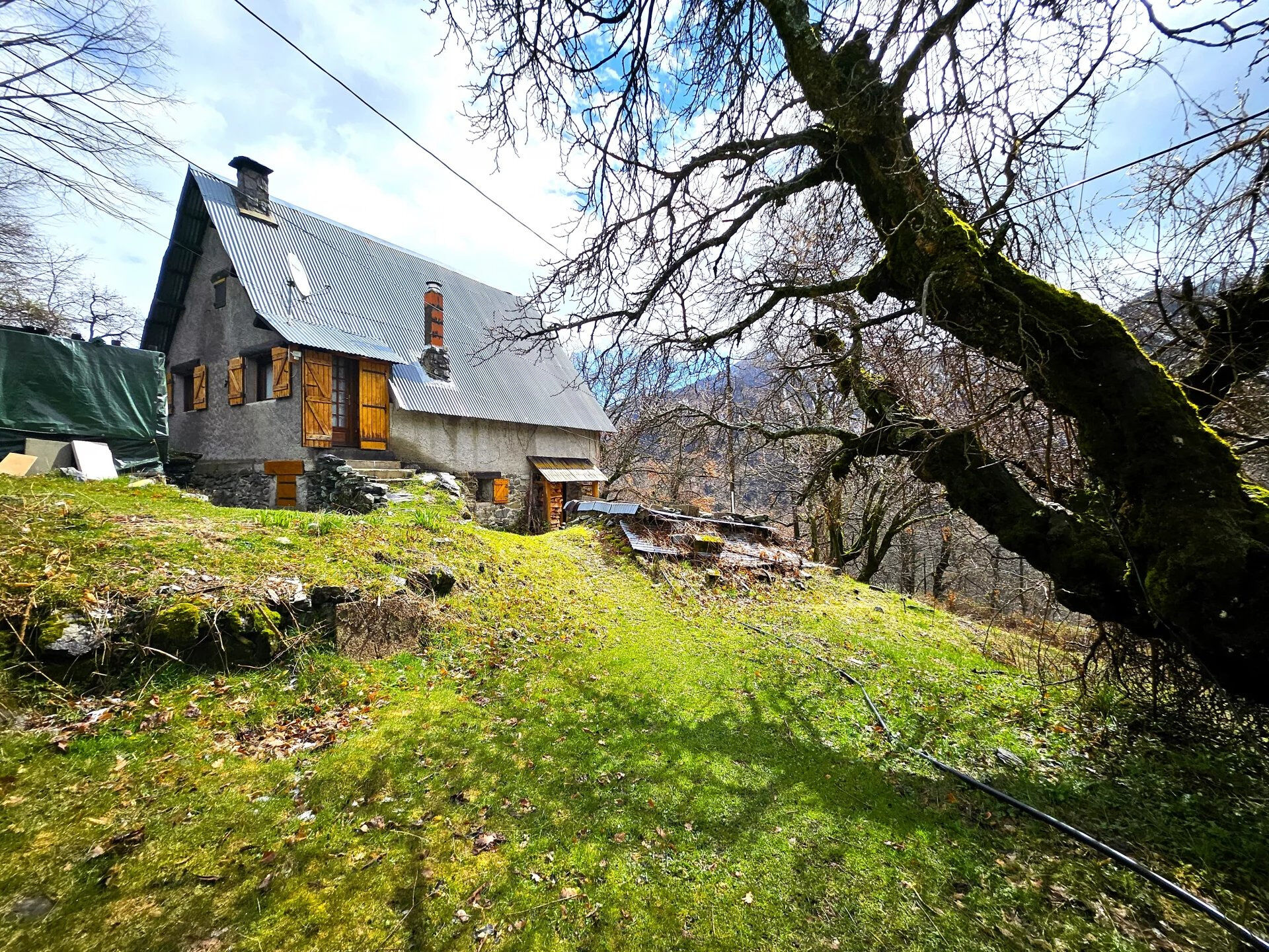 Agence immobilière de Mireille BURESI