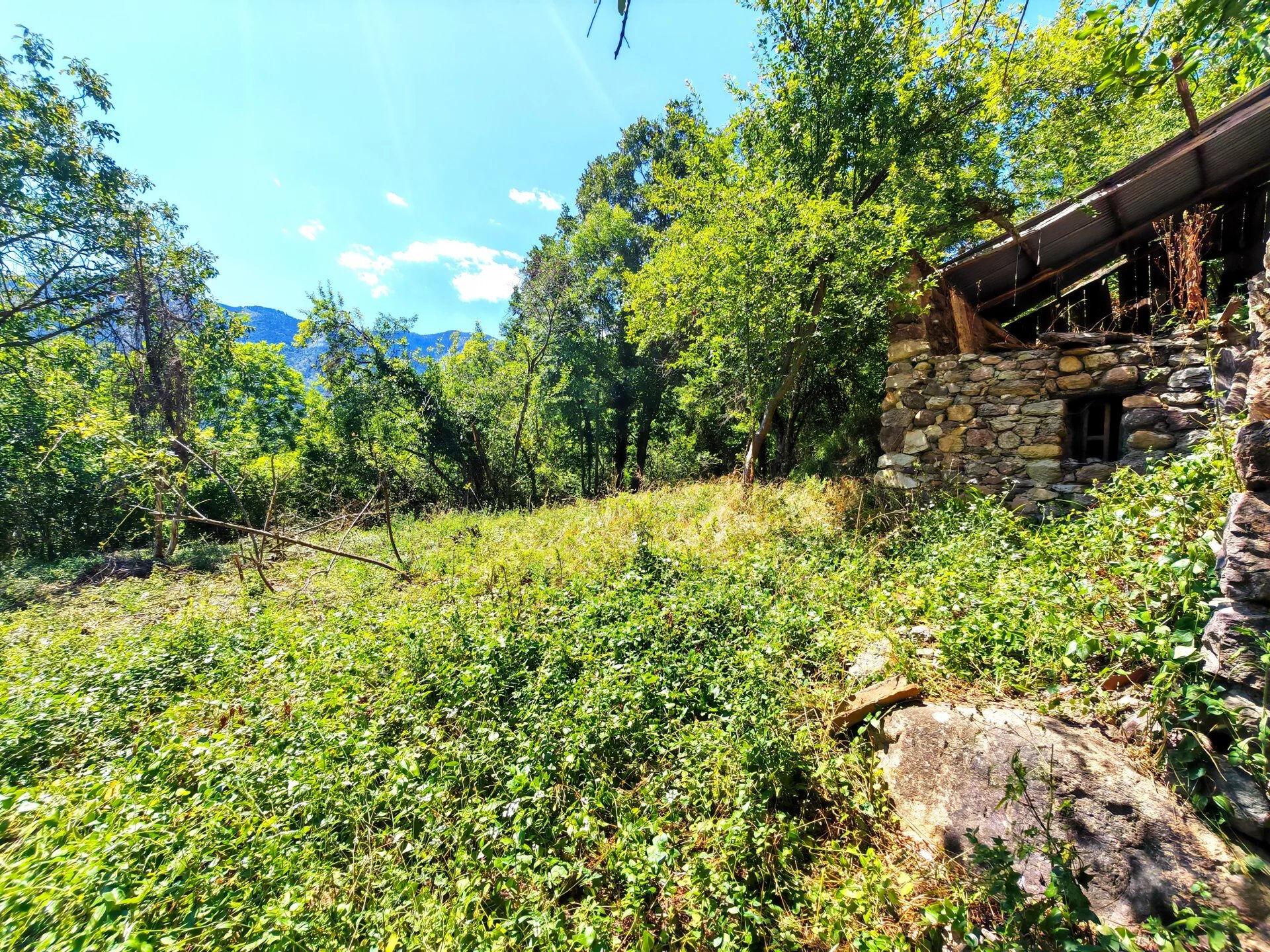 Agence immobilière de Mireille BURESI