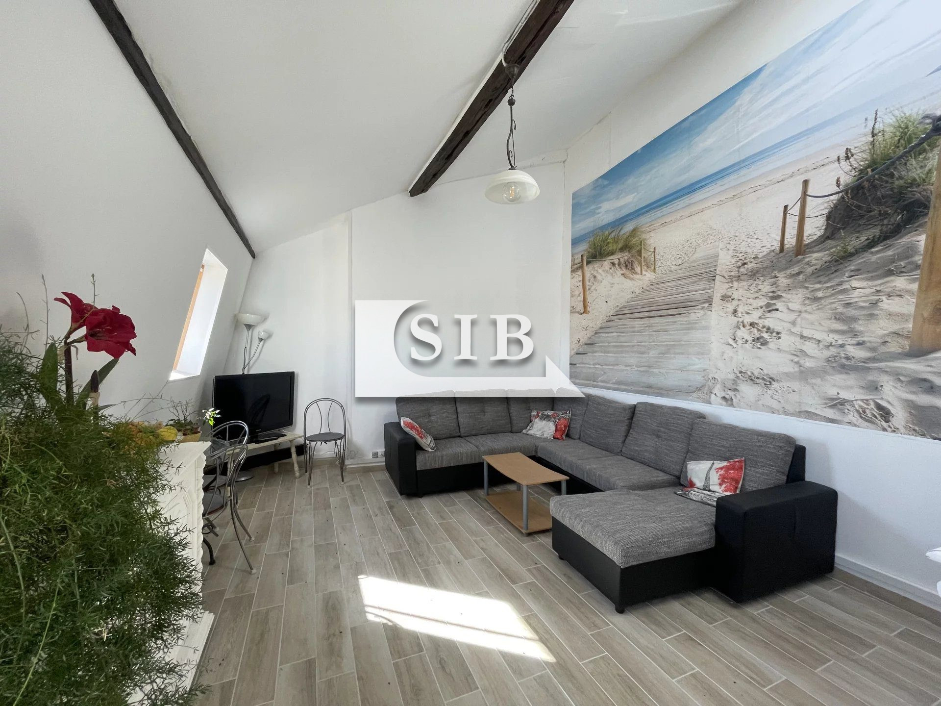 Agence immobilière de Myriam TAIEB