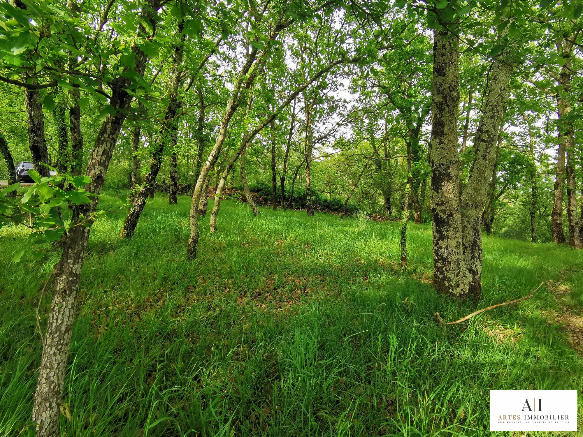 Agence immobilière de Perrine Faure - Chapus