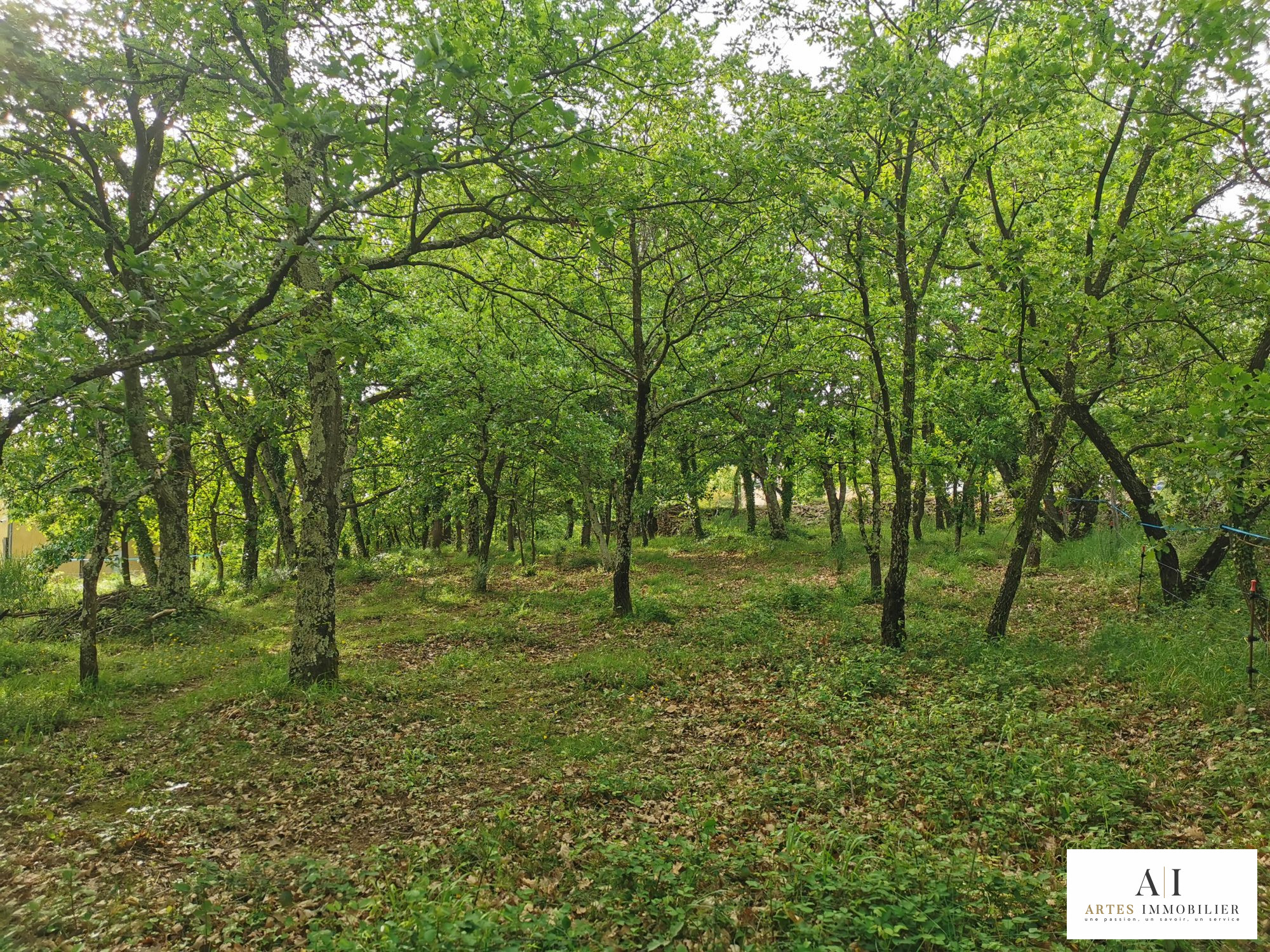 Agence immobilière de Perrine Faure - Chapus