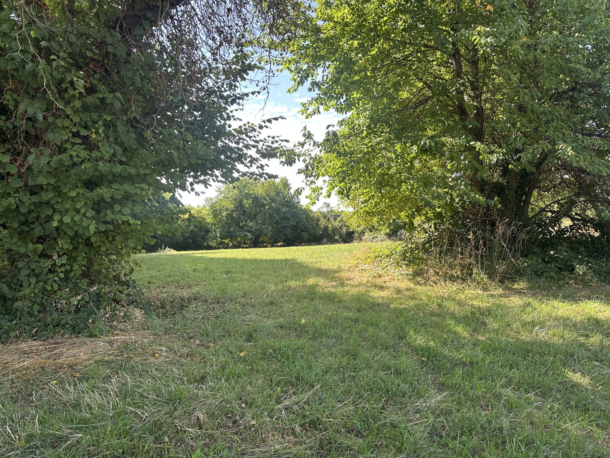 Agence immobilière de HORIZON SUD BERRY IMMOBILIER - Châtre