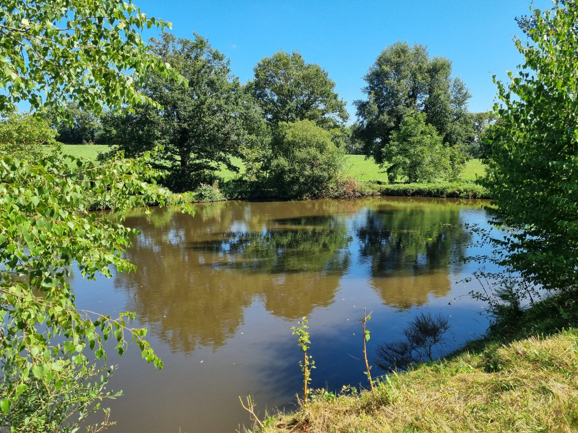Agence immobilière de HORIZON SUD BERRY IMMOBILIER - Châtre