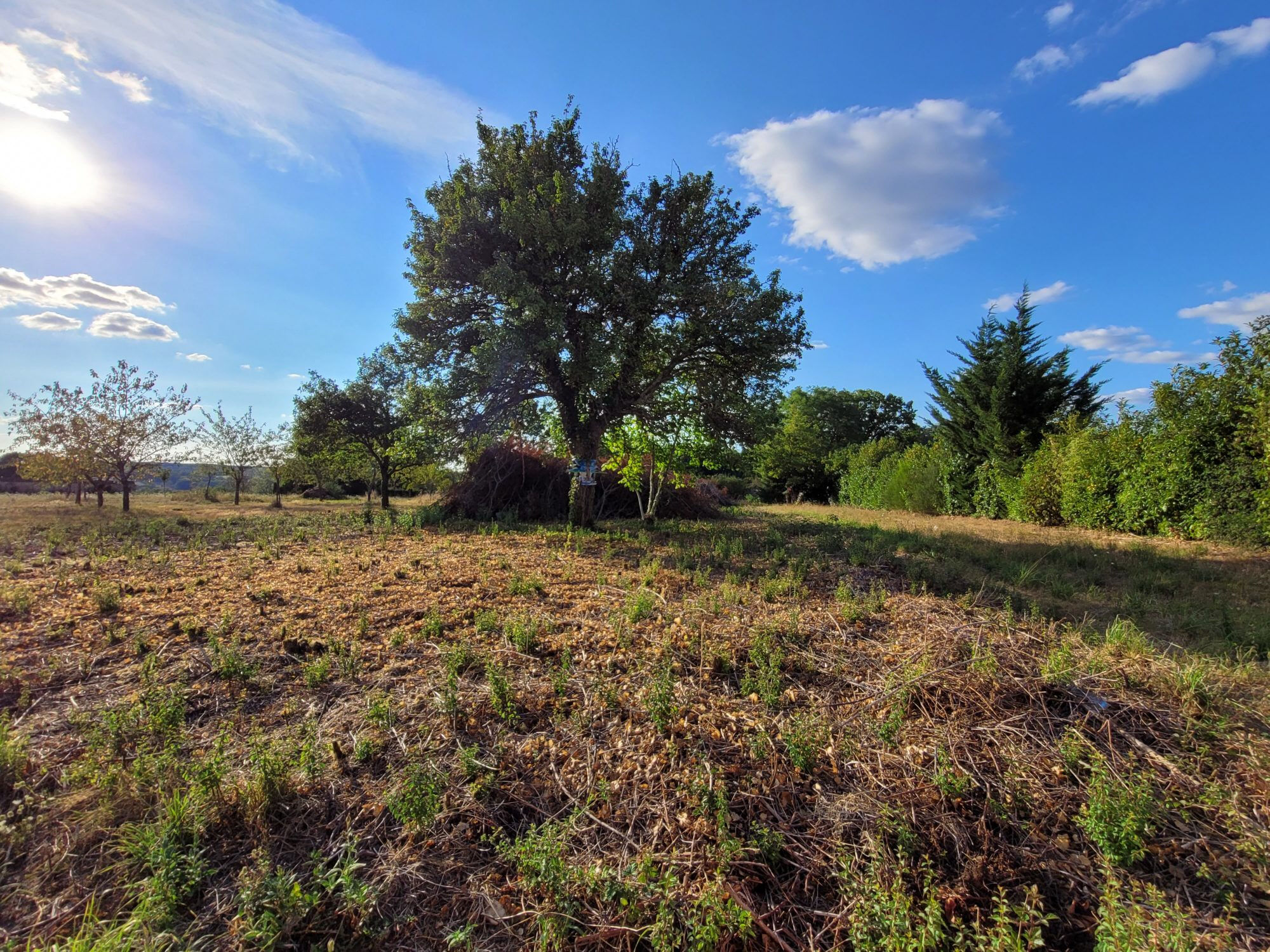 Agence immobilière de HORIZON SUD BERRY IMMOBILIER - Châtre
