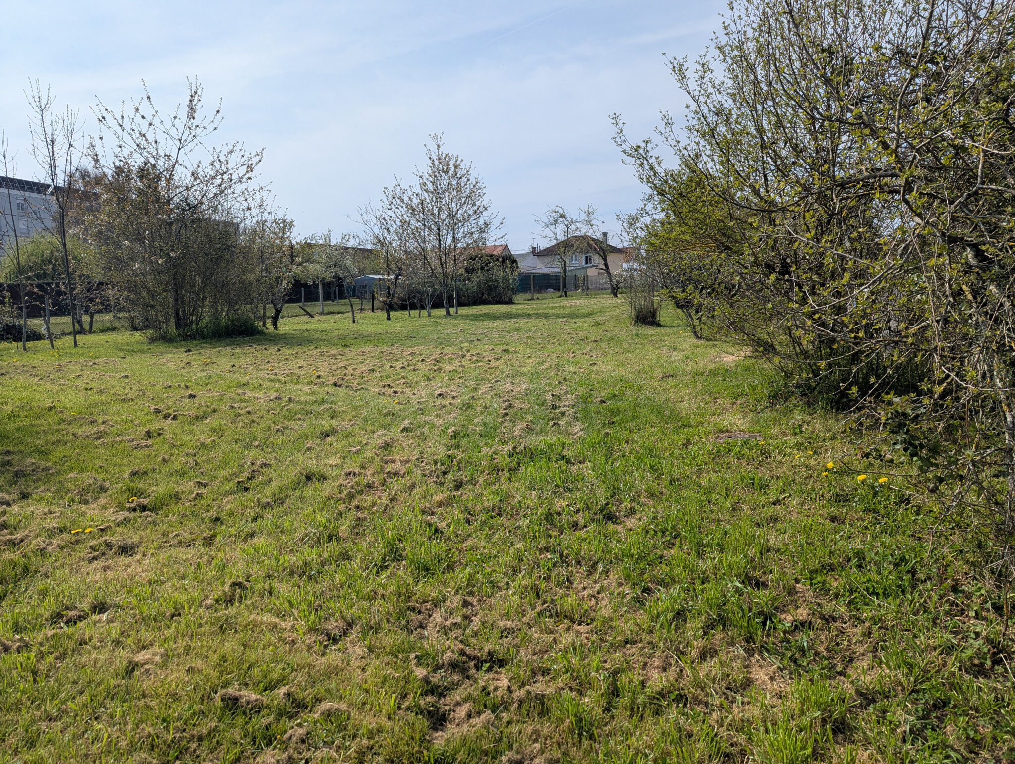 Agence immobilière de HORIZON SUD BERRY IMMOBILIER - Châtre