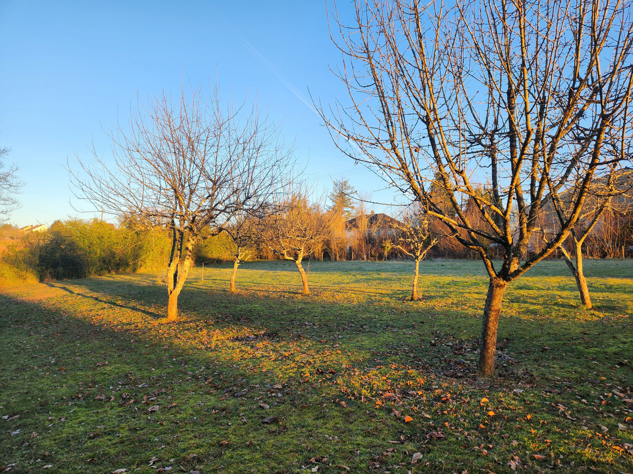 Agence immobilière de VALADE Frédéric