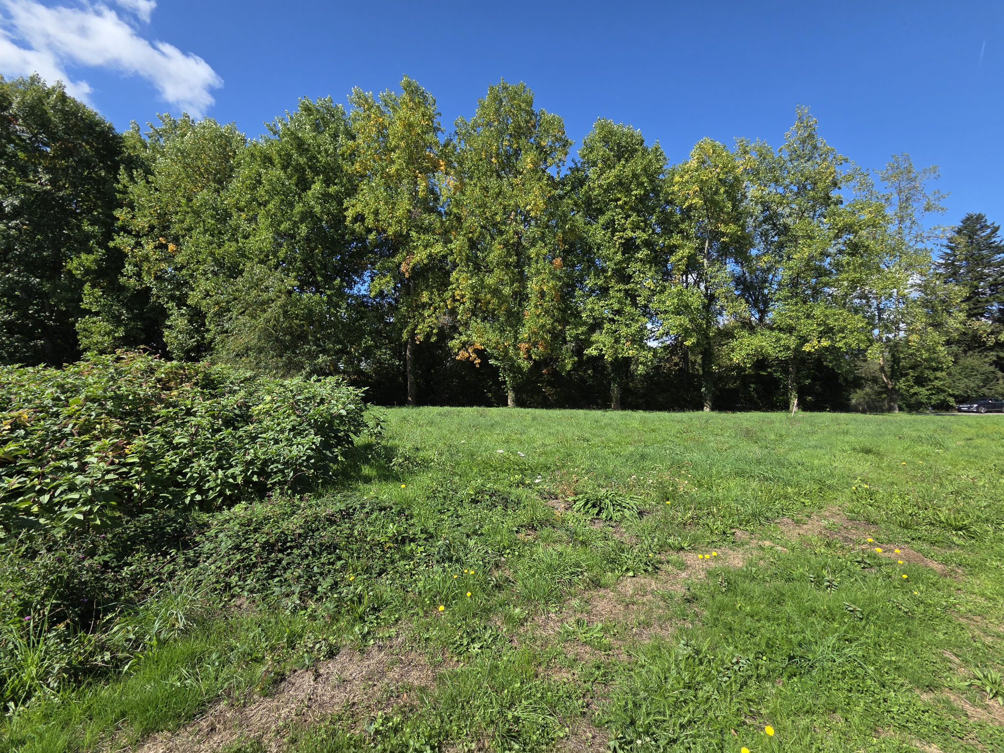 Agence immobilière de VALADE Frédéric