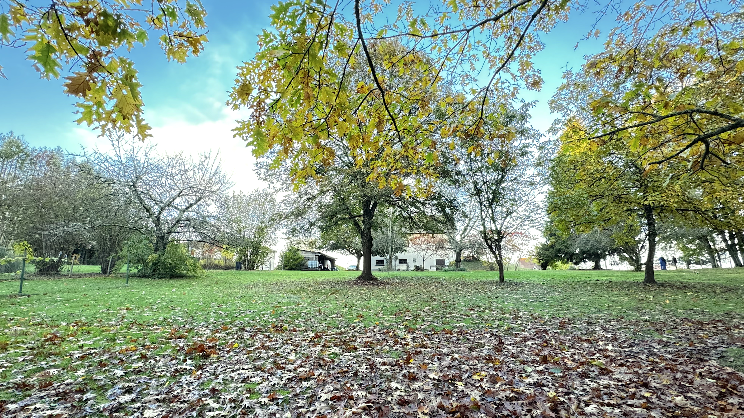 Agence immobilière de VALADE Frédéric