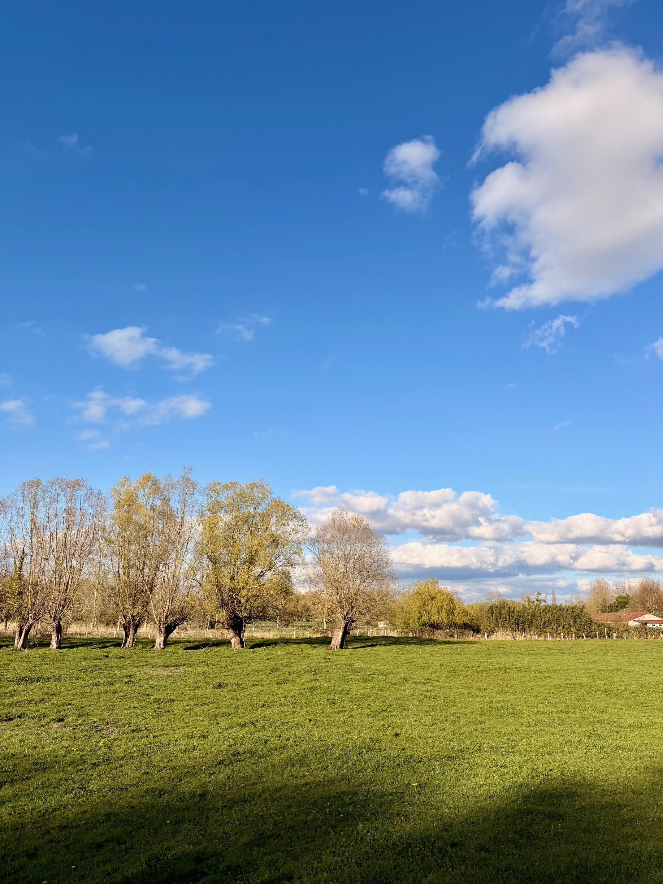 Agence immobilière de Saint Valery Immobilier