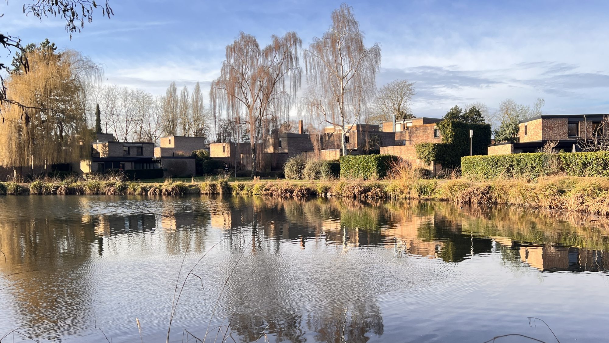 Agence immobilière de GRAS Laurent