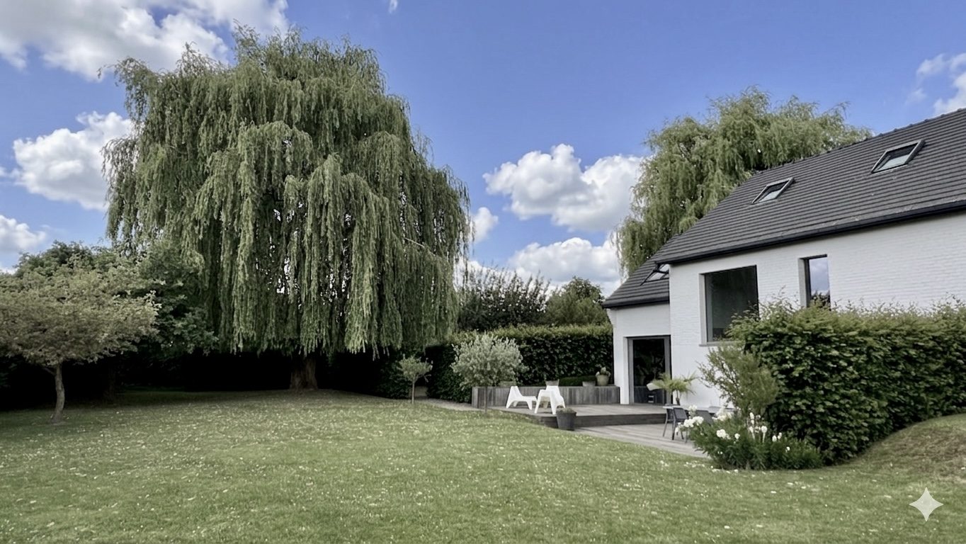 Agence immobilière de GRAS Laurent