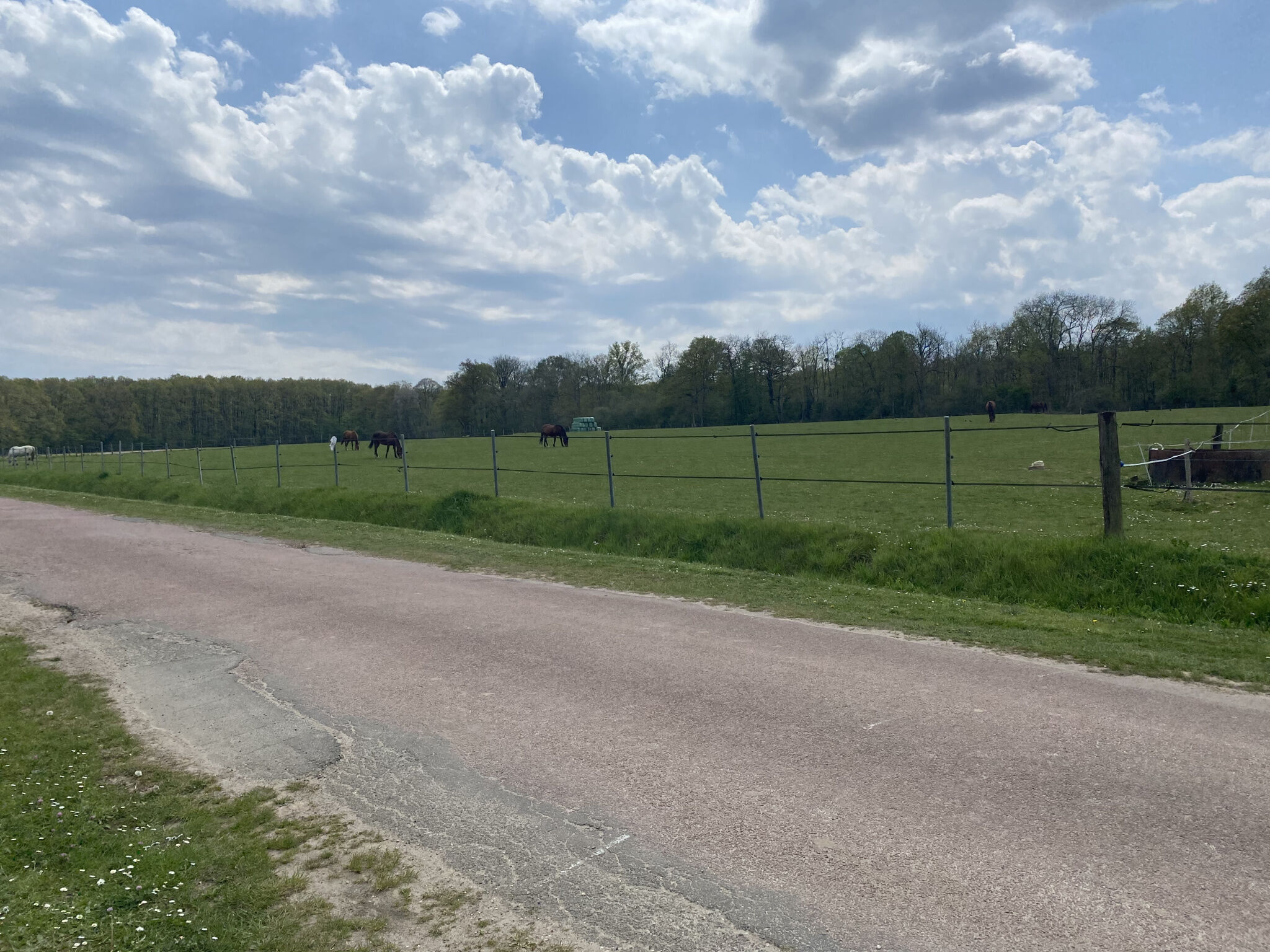 Agence immobilière de BOGO Laetitia