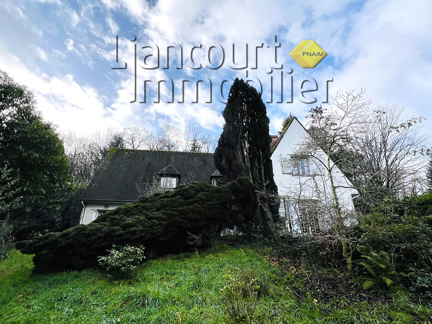 Agence immobilière de Fabrice URLI