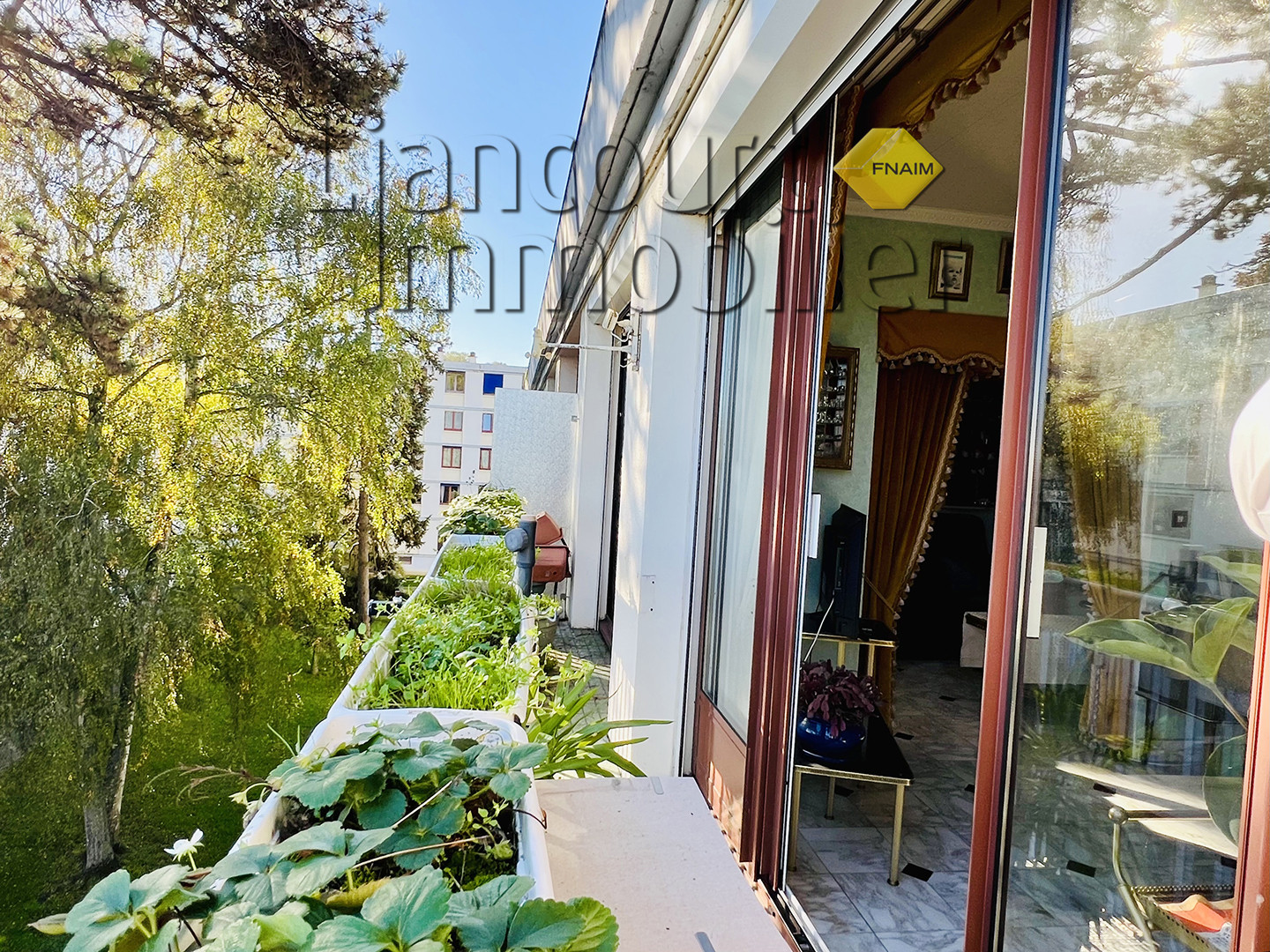 Agence immobilière de Fabrice URLI
