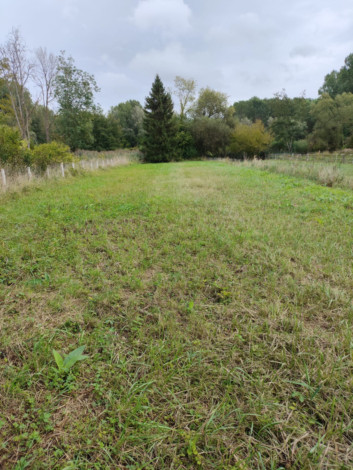 Agence immobilière de KONCEPT IMMO