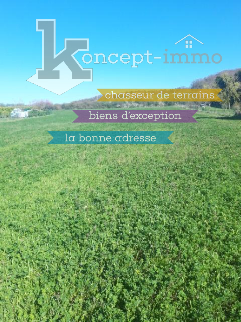 Agence immobilière de KONCEPT IMMO