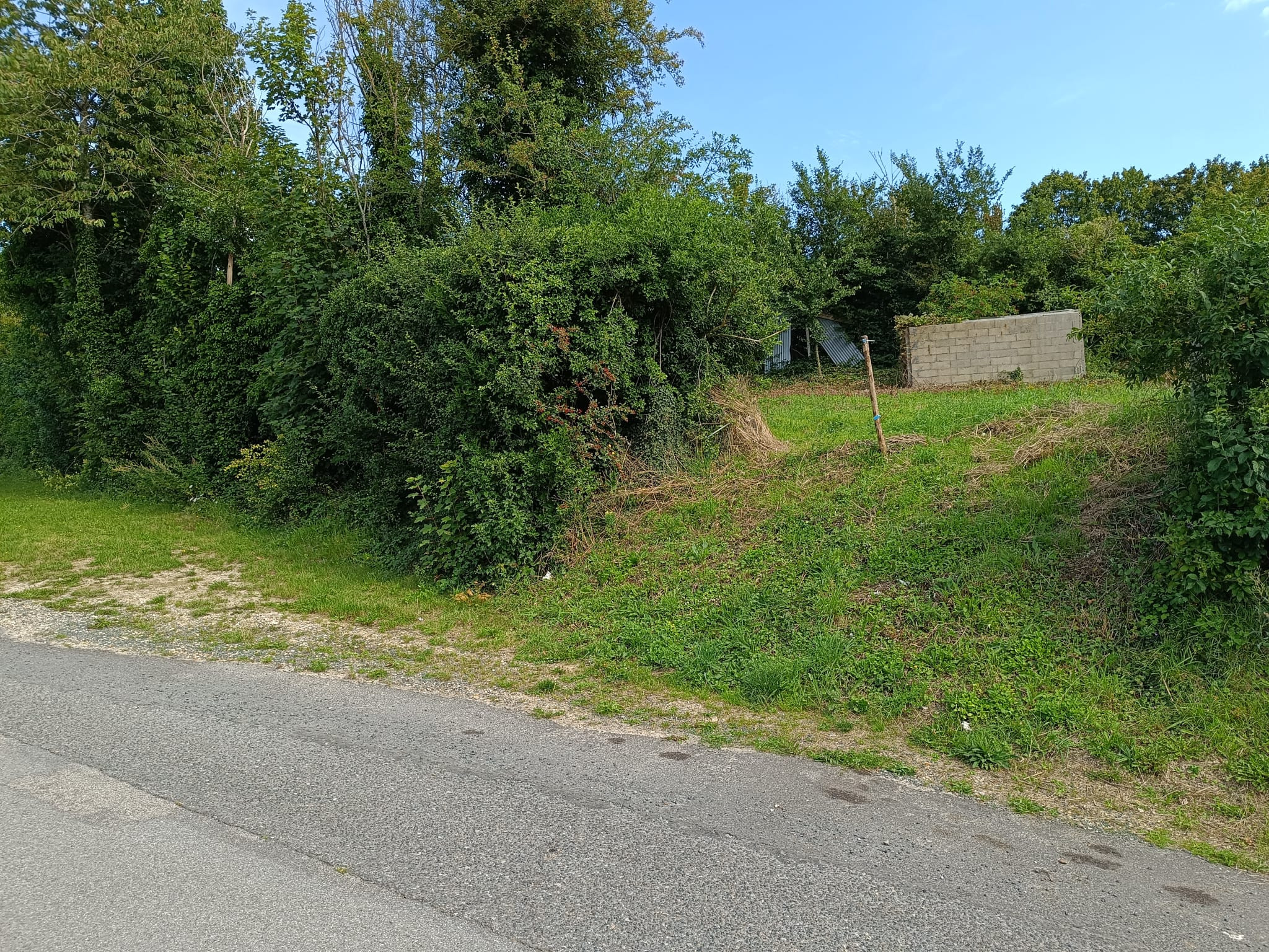 Agence immobilière de KONCEPT IMMO