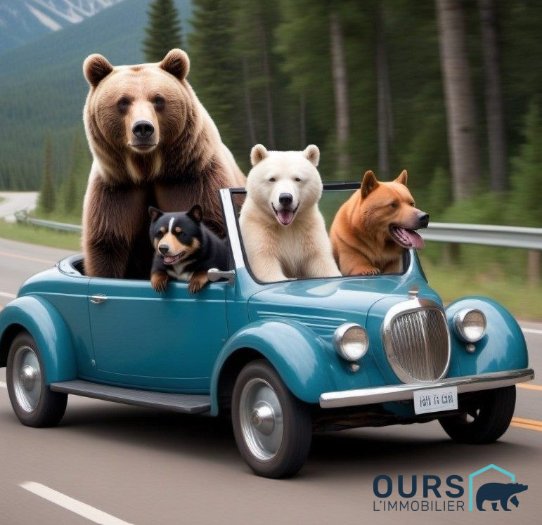 Agence immobilière de OURS L'immobilier